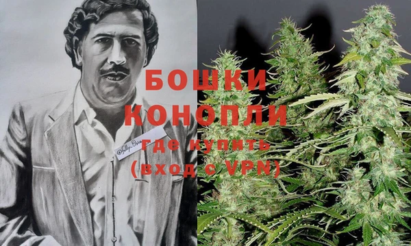 бошки Аркадак