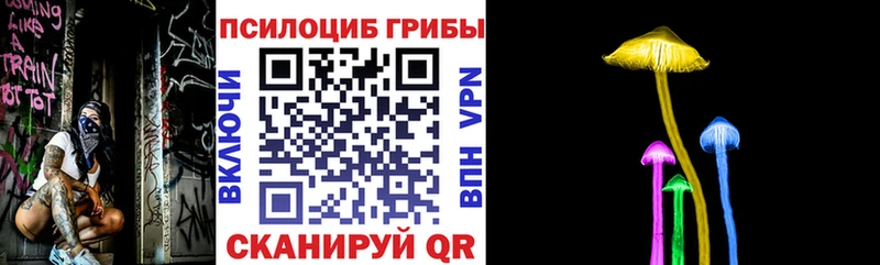 МЕГА как войти  Аркадак  Галлюциногенные грибы прущие грибы 
